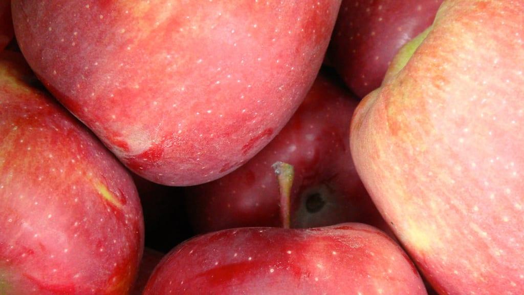 Apple researchers improved training speeds for federated learning